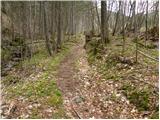 Podljubelj - Robič